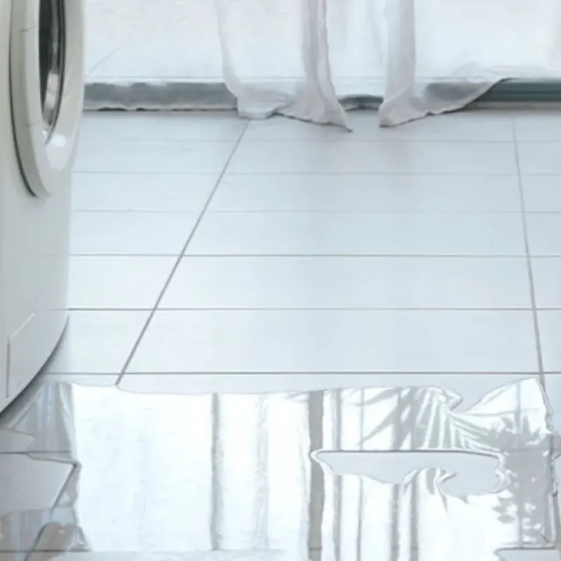 Appliance Leak Cleanup in Bamberg County, SC
