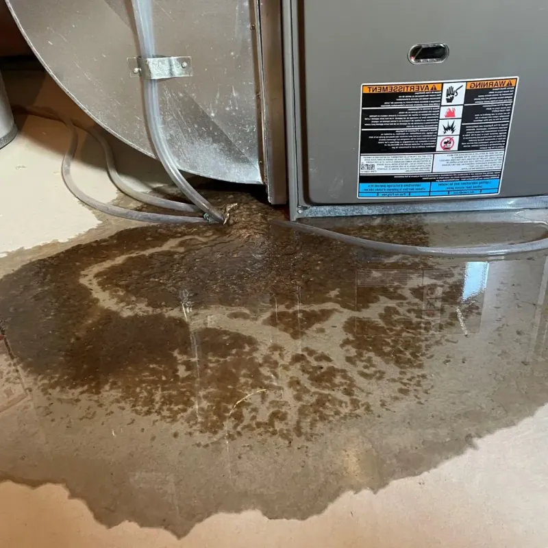 Pipe Burst and Leak Restoration in Bamberg County, SC
