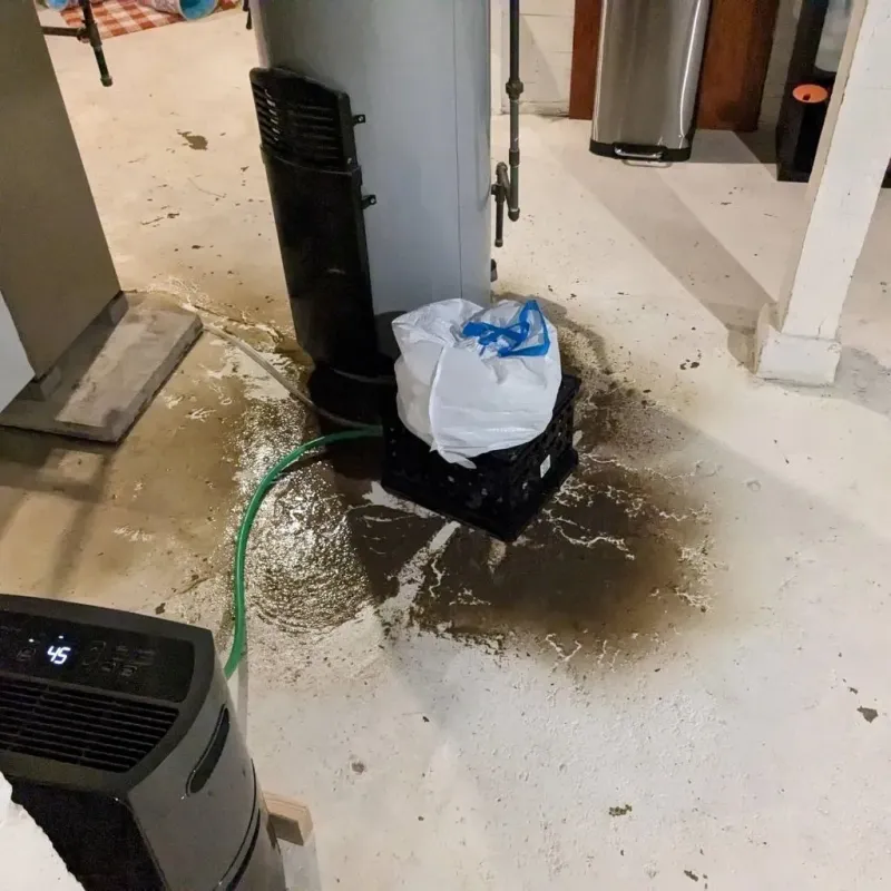 Sewage Backup Cleanup Service in Bamberg County, SC